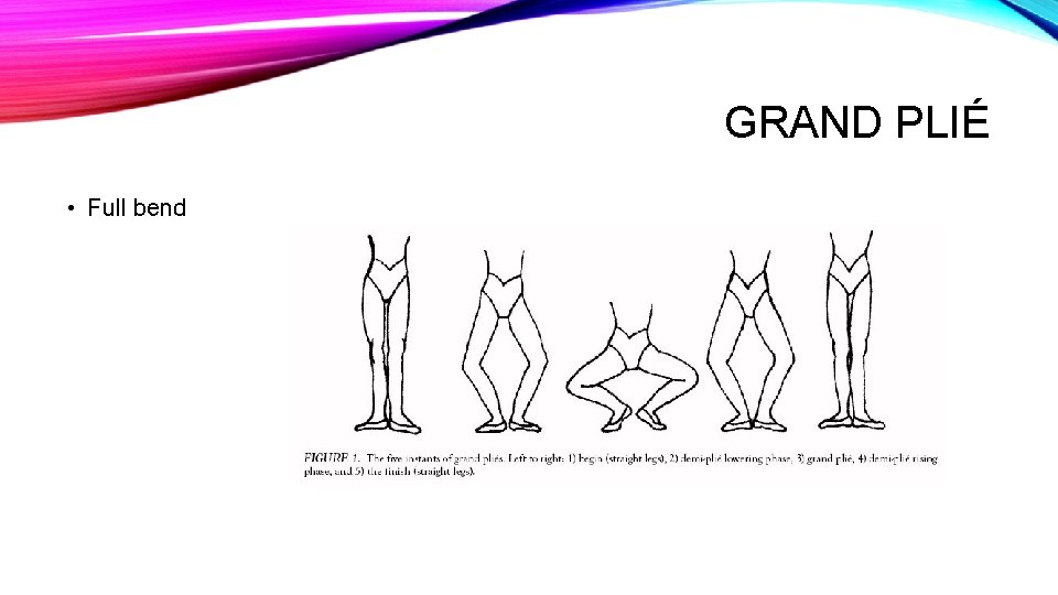GRAND PLIÉ • Full bend 