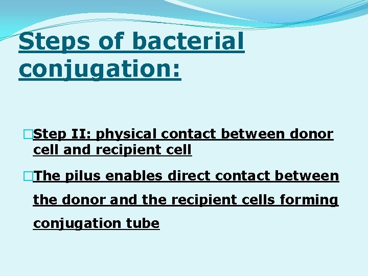 Steps of bacterial conjugation: �Step II: physical contact between donor cell and recipient cell