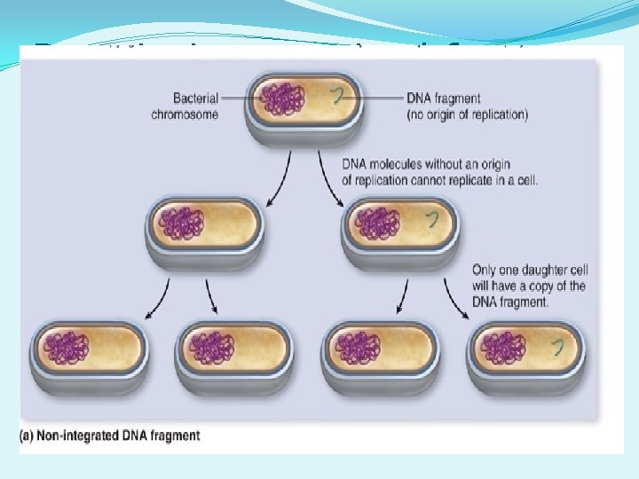 Permission required for reproduction 