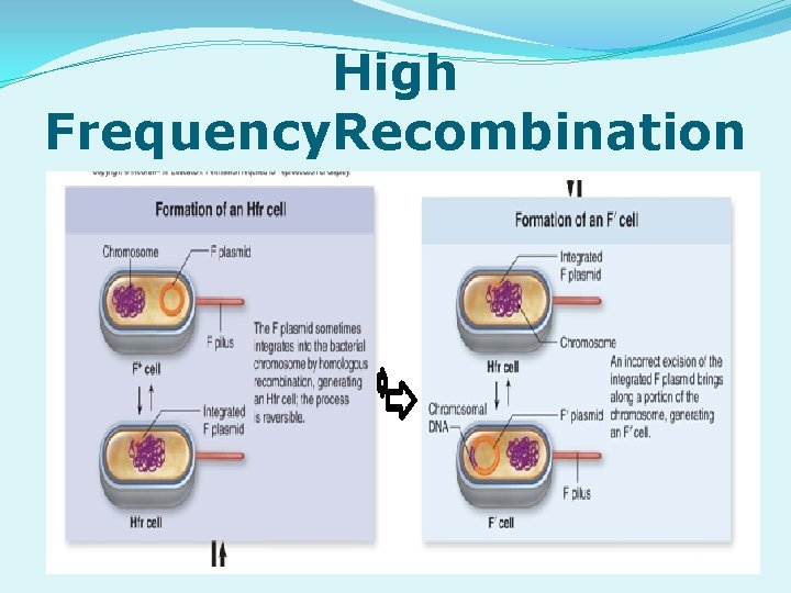 High Frequency. Recombination 