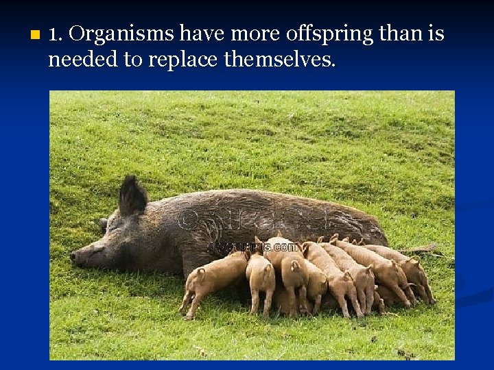 n 1. Organisms have more offspring than is needed to replace themselves. 