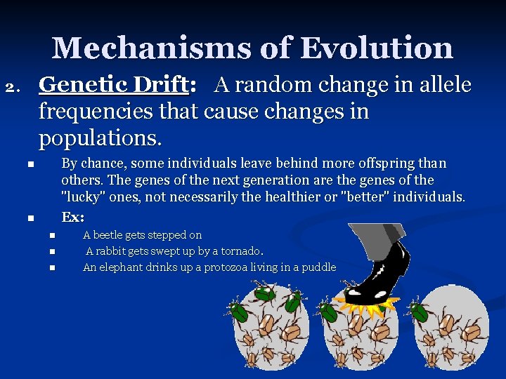 Mechanisms of Evolution Genetic Drift: A random change in allele frequencies that cause changes