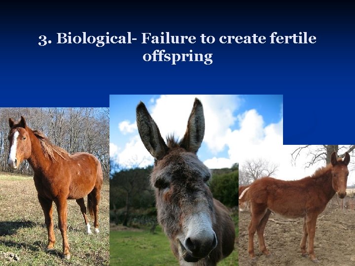 3. Biological- Failure to create fertile offspring 