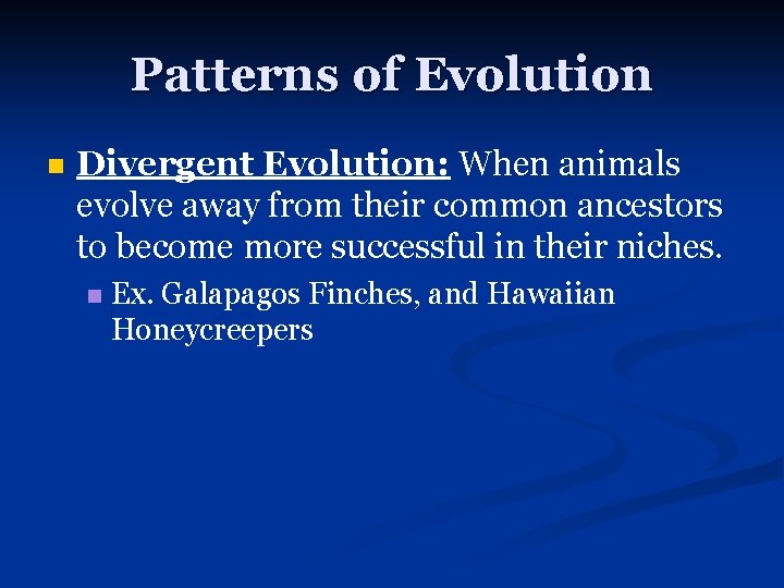 Patterns of Evolution n Divergent Evolution: When animals evolve away from their common ancestors
