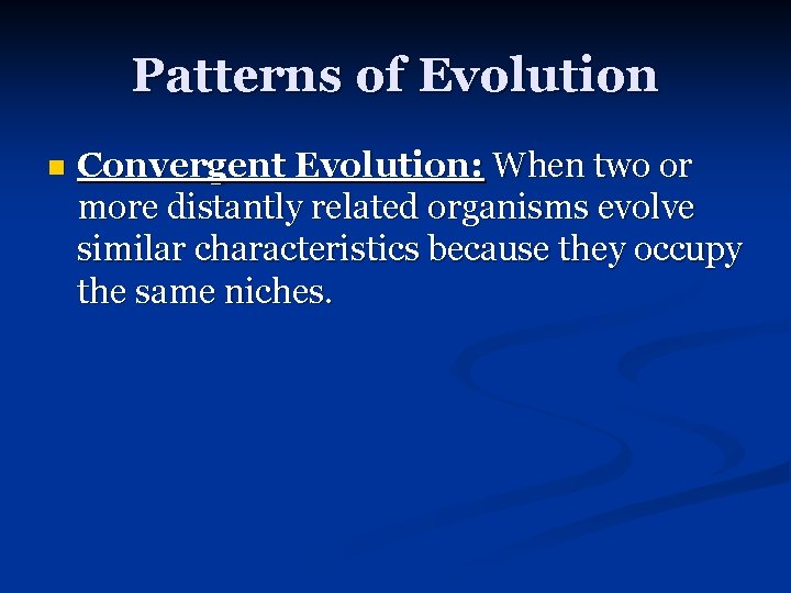 Patterns of Evolution n Convergent Evolution: When two or more distantly related organisms evolve