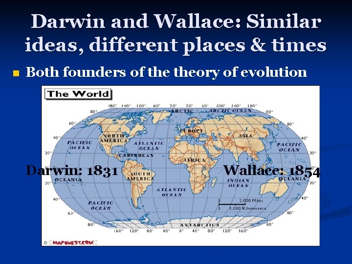 Darwin and Wallace: Similar ideas, different places & times n Both founders of theory