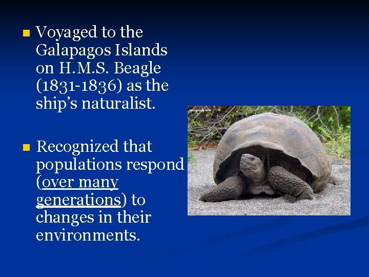 n Voyaged to the Galapagos Islands on H. M. S. Beagle (1831 -1836) as