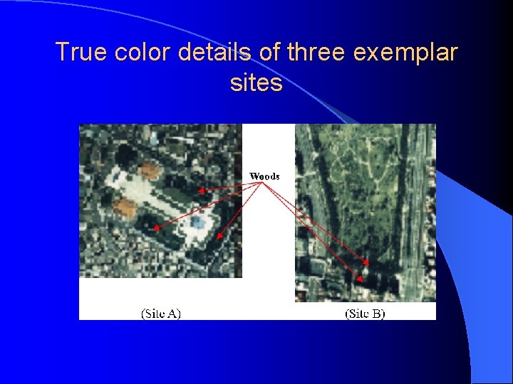 True color details of three exemplar sites True color details of three exemplar sites