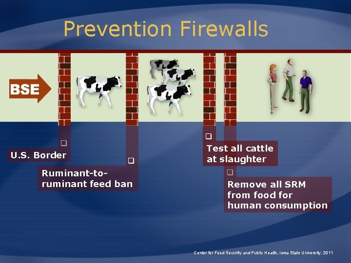 Prevention Firewalls q q U. S. Border q Ruminant-toruminant feed ban Test all cattle