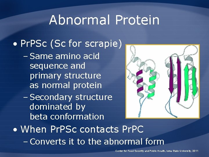 Abnormal Protein • Pr. PSc (Sc for scrapie) – Same amino acid sequence and