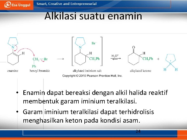 Alkilasi suatu enamin • Enamin dapat bereaksi dengan alkil halida reaktif membentuk garam iminium