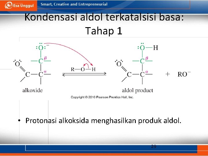 Kondensasi aldol terkatalsisi basa: Tahap 1 • Protonasi alkoksida menghasilkan produk aldol. 29 