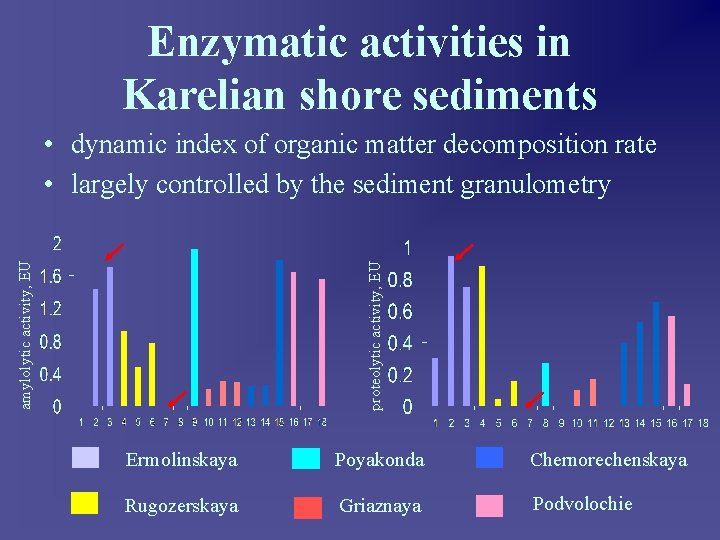 Enzymatic activities in Karelian shore sediments proteolytic activity, EU amylolytic activity, EU • dynamic
