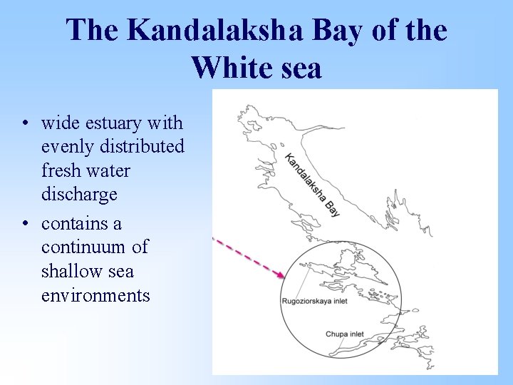 The Kandalaksha Bay of the White sea • wide estuary with evenly distributed fresh