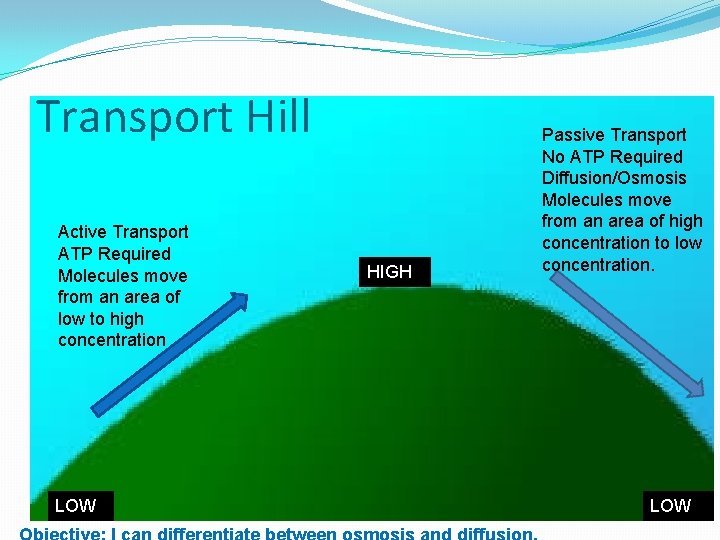 Transport Hill Active Transport ATP Required Molecules move from an area of low to