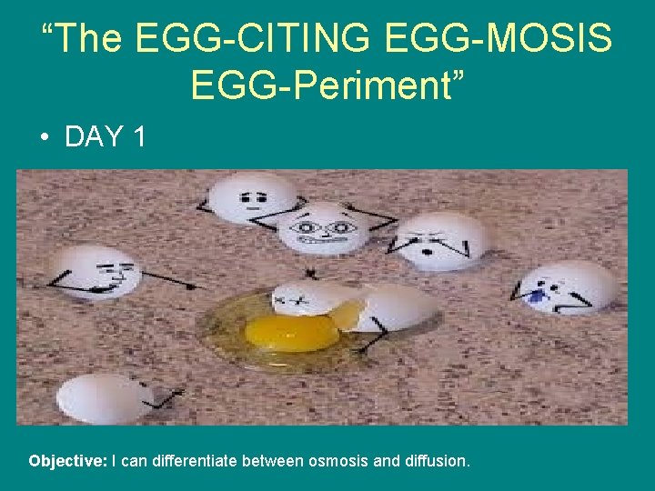 “The EGG-CITING EGG-MOSIS EGG-Periment” • DAY 1 Objective: I can differentiate between osmosis and
