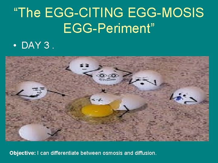 “The EGG-CITING EGG-MOSIS EGG-Periment” • DAY 3. Objective: I can differentiate between osmosis and