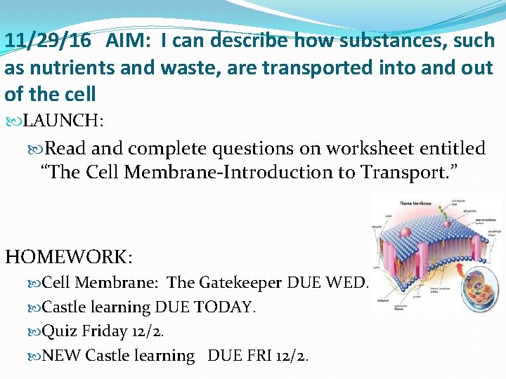 11/29/16 AIM: I can describe how substances, such as nutrients and waste, are transported