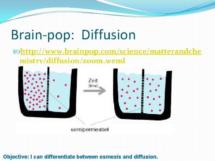Brain-pop: Diffusion http: //www. brainpop. com/science/matterandche mistry/diffusion/zoom. weml Objective: I can differentiate between osmosis
