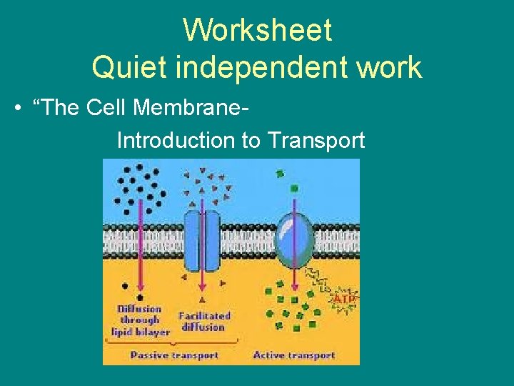Worksheet Quiet independent work • “The Cell Membrane. Introduction to Transport 