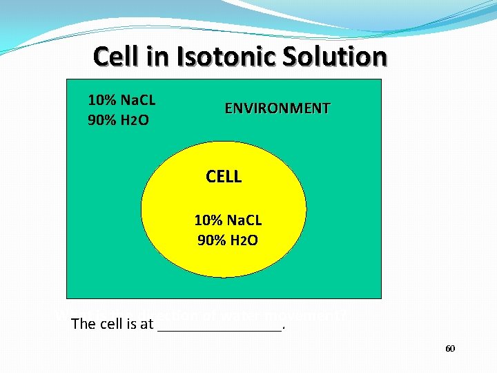 Cell in Isotonic Solution 10% Na. CL 90% H 2 O ENVIRONMENT CELL 10%