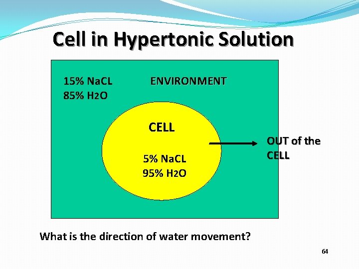 Cell in Hypertonic Solution 15% Na. CL 85% H 2 O ENVIRONMENT CELL 5%