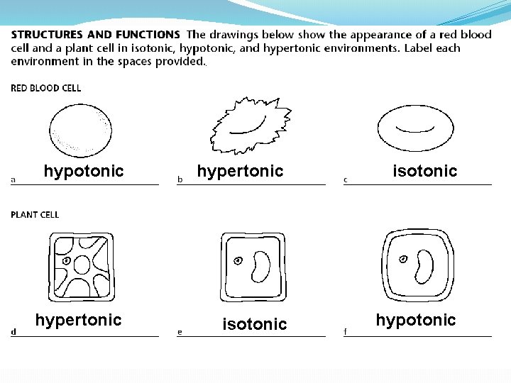 hypotonic hypertonic isotonic hypotonic 70 