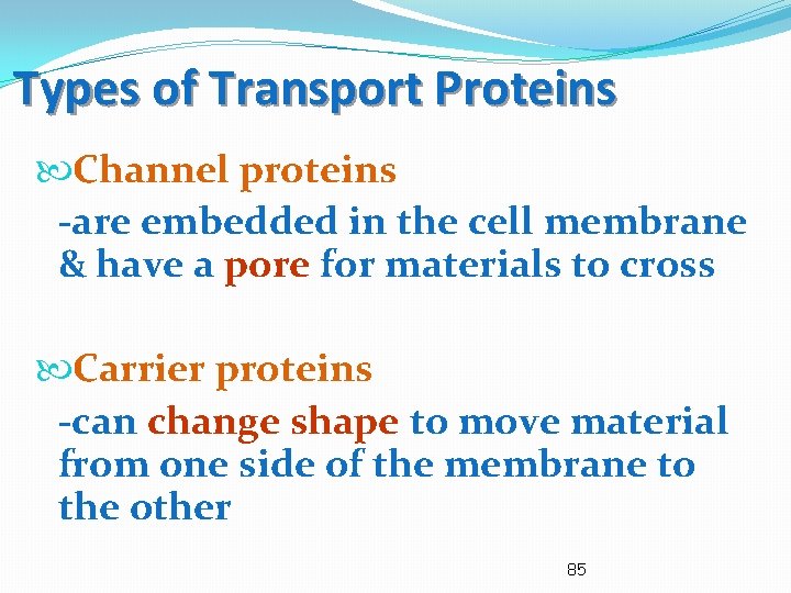 Types of Transport Proteins Channel proteins -are embedded in the cell membrane & have