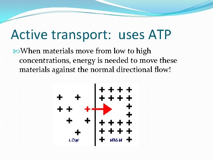 Active transport: uses ATP When materials move from low to high concentrations, energy is