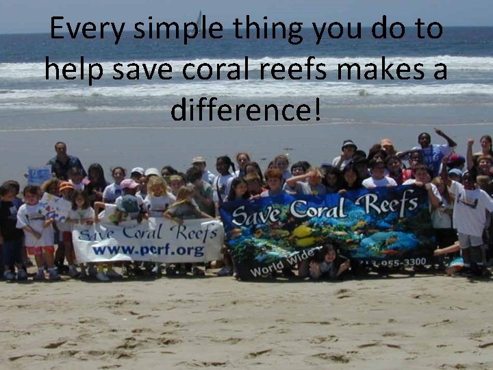 Every simple thing you do to help save coral reefs makes a difference! 