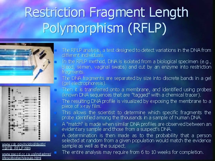 Restriction Fragment Length Polymorphism (RFLP) n n n n www. cdc. gov/ncidod/dastlr/ TB/TB_RFLP. htm