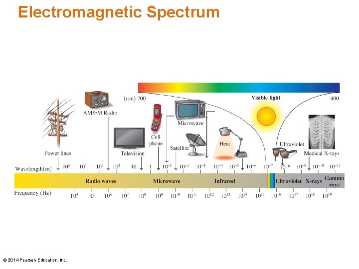 Electromagnetic Spectrum © 2014 Pearson Education, Inc. 