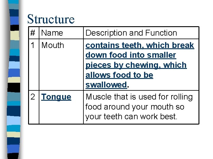 Structure # Name 1 Mouth 2 Tongue Description and Function contains teeth, which break