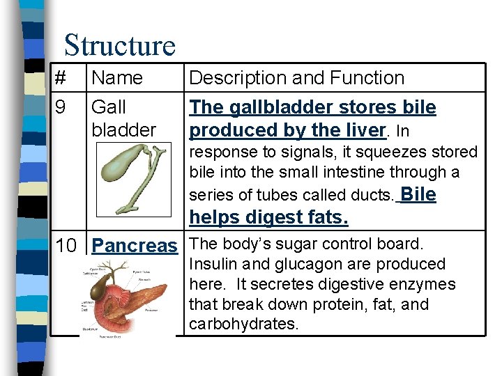 Structure # 9 Name Gall bladder Description and Function The gallbladder stores bile produced