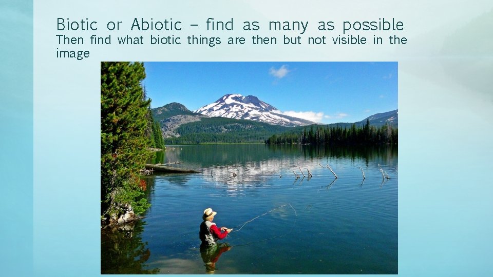 Biotic or Abiotic – find as many as possible Then find what biotic things