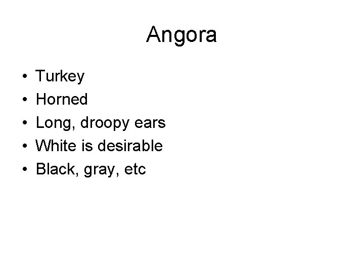 Angora • • • Turkey Horned Long, droopy ears White is desirable Black, gray,