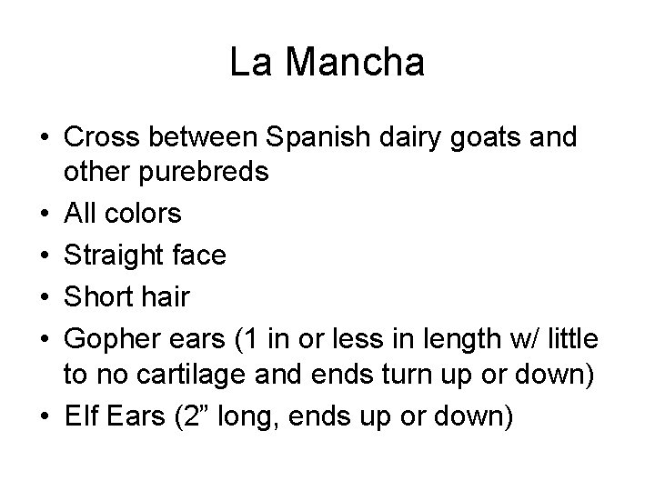 La Mancha • Cross between Spanish dairy goats and other purebreds • All colors