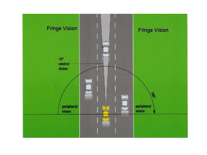 Fringe Vision 