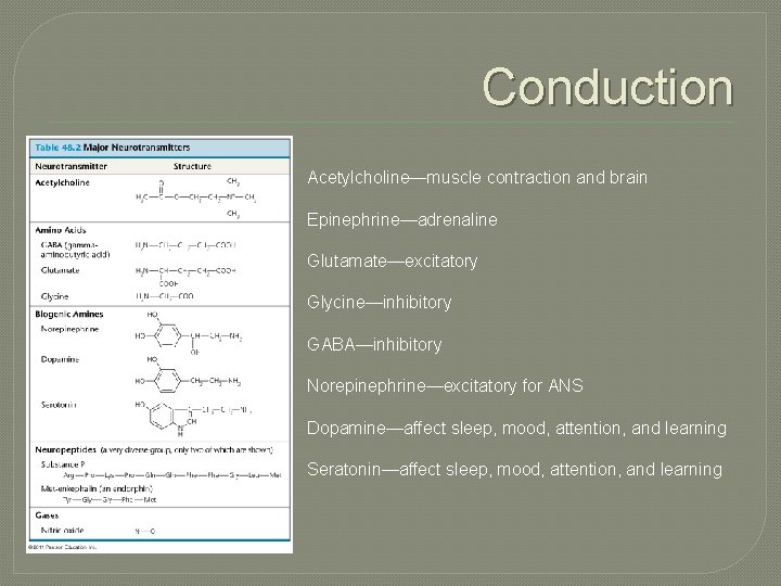 Conduction Acetylcholine—muscle contraction and brain Epinephrine—adrenaline Glutamate—excitatory Glycine—inhibitory GABA—inhibitory Norepinephrine—excitatory for ANS Dopamine—affect sleep,