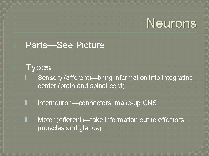 Neurons a. Parts—See Picture b. Types i. Sensory (afferent)—bring information into integrating center (brain