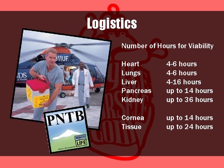 Logistics Number of Hours for Viability Heart Lungs Liver Pancreas Kidney 4 -6 hours