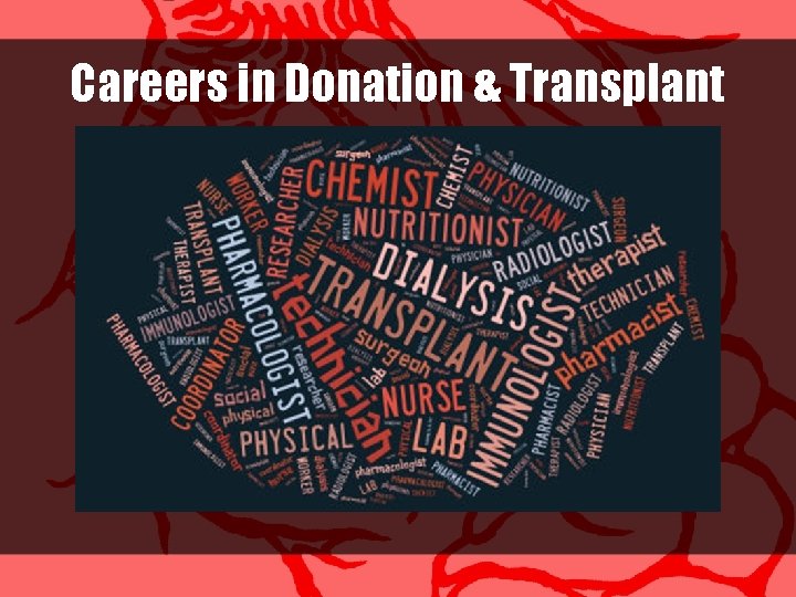 Careers in Donation & Transplant 