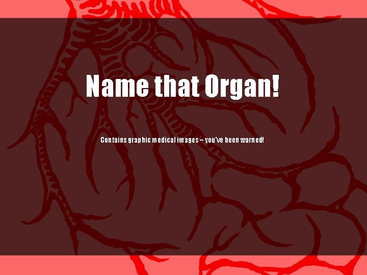 Name that Organ! Contains graphic medical images – you’ve been warned! 