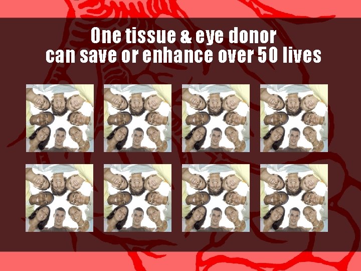 One tissue & eye donor can save or enhance over 50 lives 