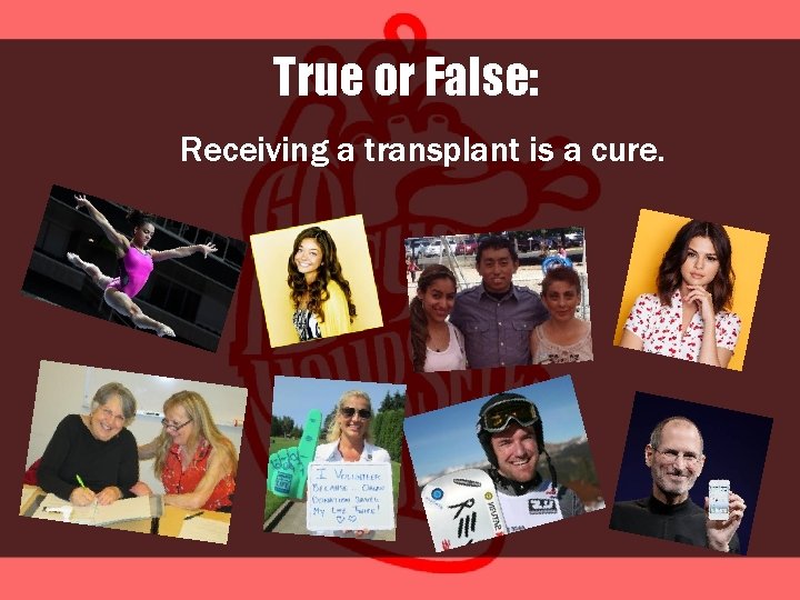 True or False: Receiving a transplant is a cure. 