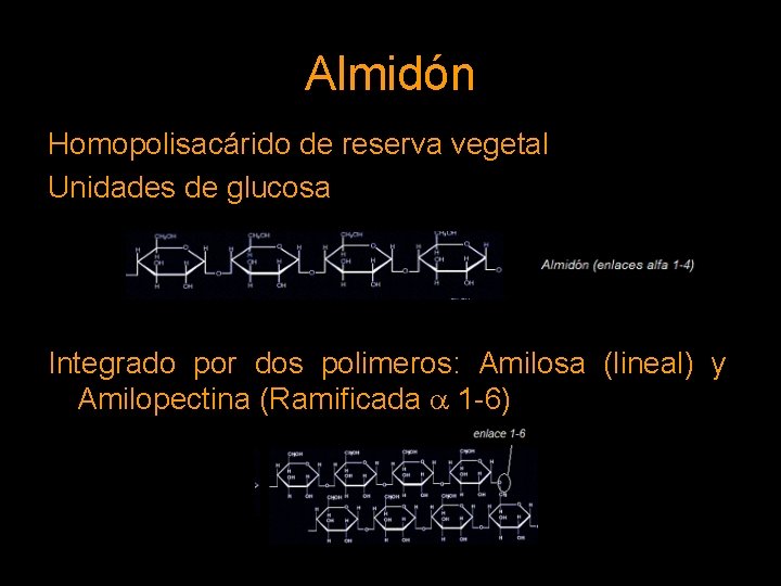 Almidón Homopolisacárido de reserva vegetal Unidades de glucosa Integrado por dos polimeros: Amilosa (lineal)