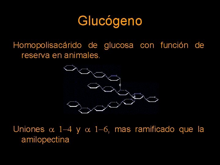 Glucógeno Homopolisacárido de glucosa con función de reserva en animales. Uniones a 1 -4