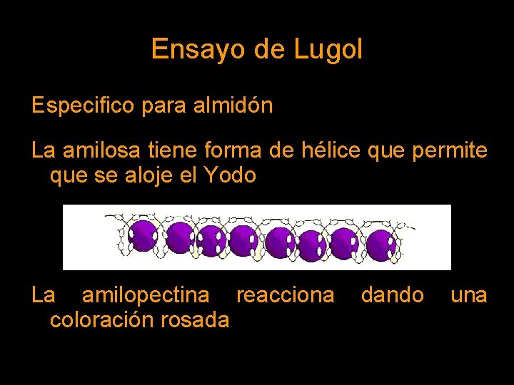 Ensayo de Lugol Especifico para almidón La amilosa tiene forma de hélice que permite