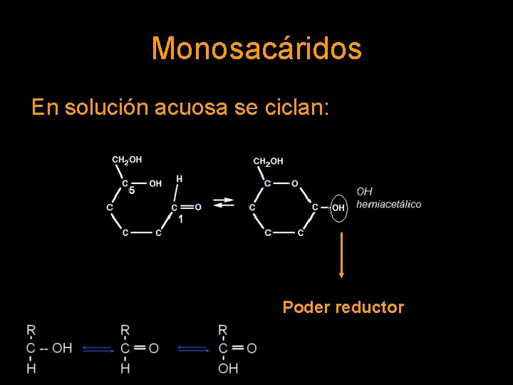 Monosacáridos En solución acuosa se ciclan: Poder reductor 