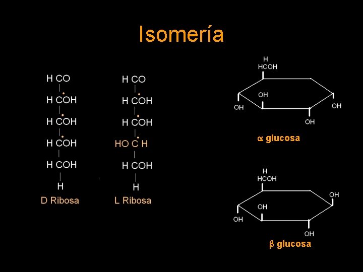 Isomería a glucosa b glucosa 